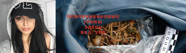 дурь Новокубанск