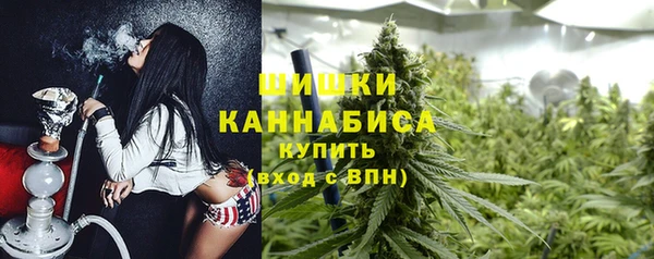 таблы Новозыбков
