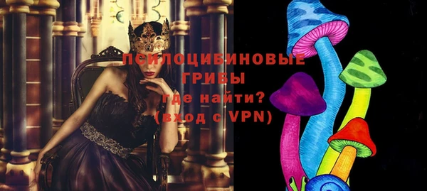 дурь Новокубанск