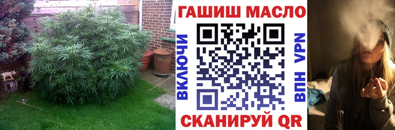 Дистиллят ТГК концентрат Нестеров