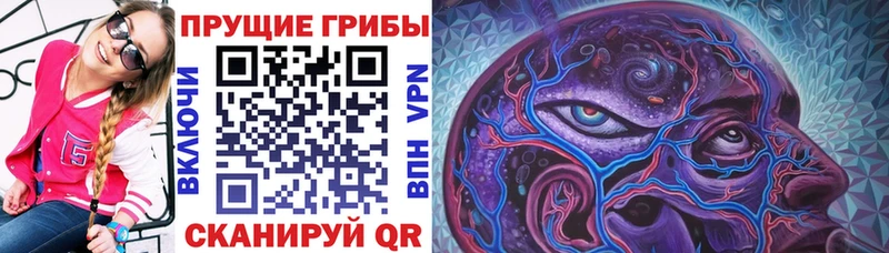 Галлюциногенные грибы MAGIC MUSHROOMS  гидра маркетплейс  Нестеров 